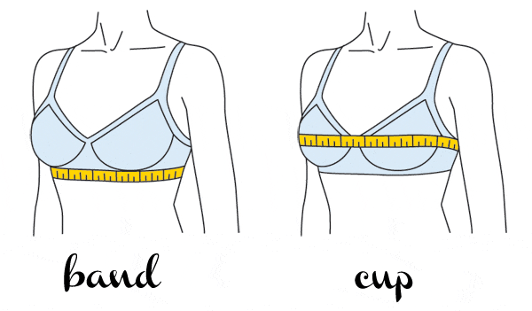 how to measure your band size and your cup size for teenagers